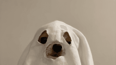 testDavis1114 — Netflix