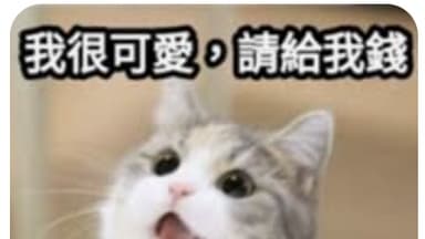 test影音多享組 — 影音多享組